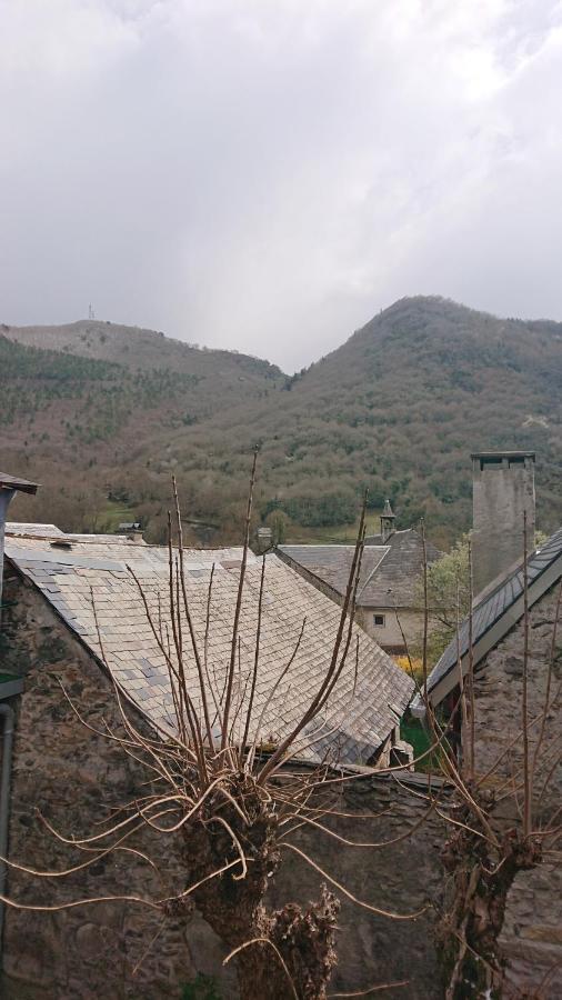 Appartement Dans Ancienne Maison Pyreneenne. Cadeac ภายนอก รูปภาพ